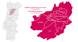Mapa Região Demarcada dos Vinhos do Dão